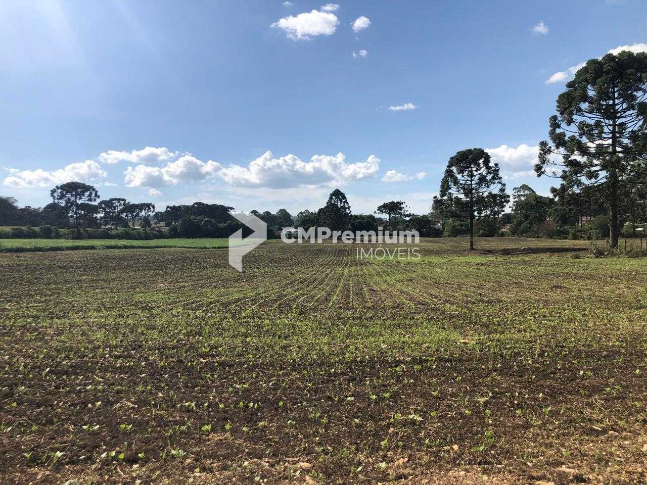 Terreno Industrial Comercial 19.400m  em Almirante Tamandaré  ...