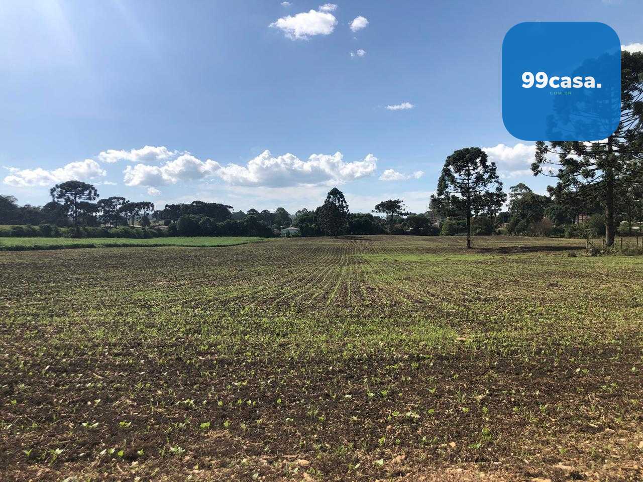 Terreno Industrial Comercial 19.400m  em Almirante Tamandaré  ...