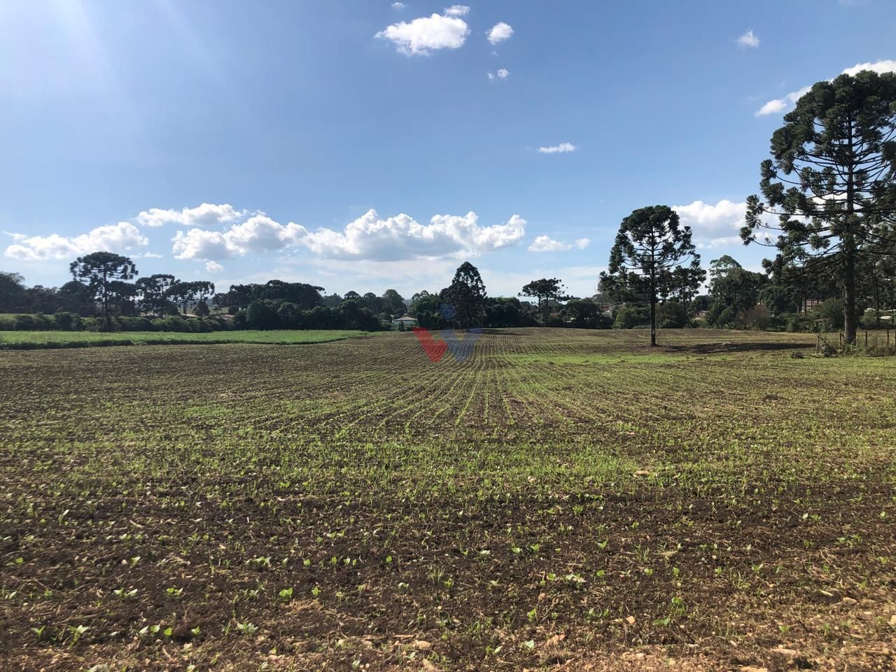 Terreno Industrial Comercial 19.400m  em Almirante Tamandaré  ...