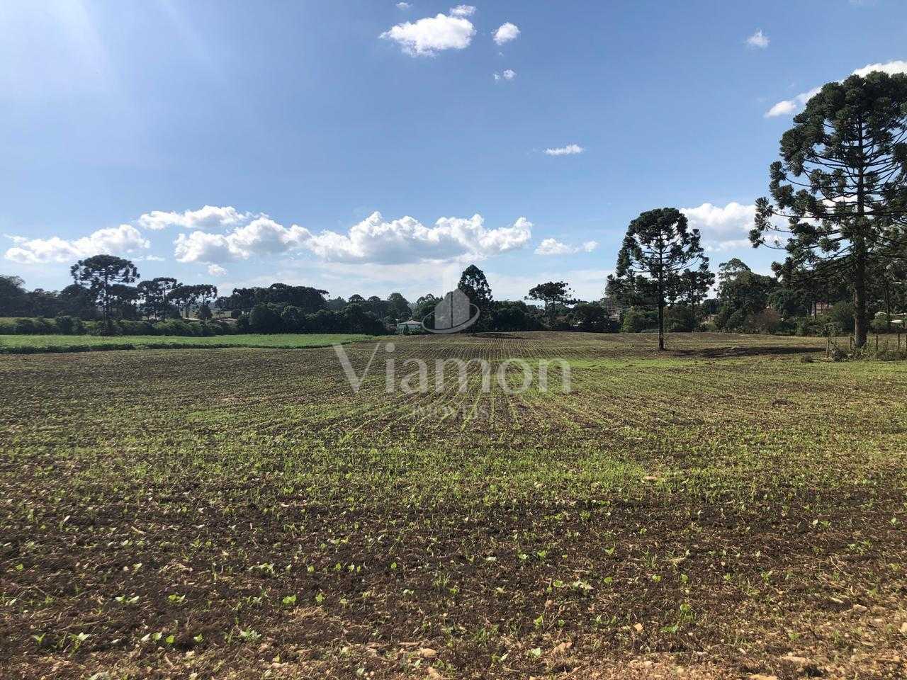 Terreno Industrial Comercial 19.400m  em Almirante Tamandaré  ...