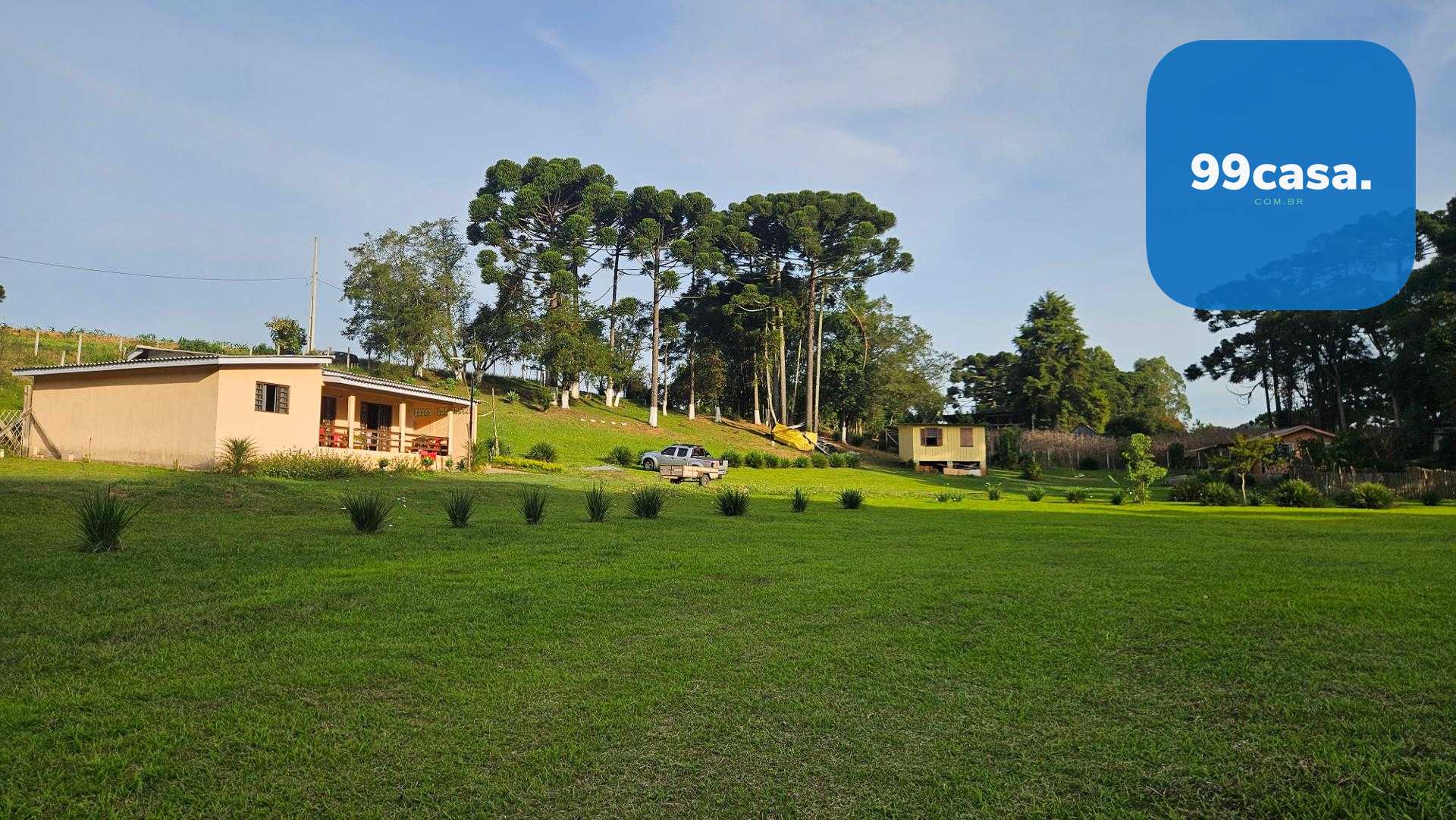 Chácara paradisíaca em Araucária  20.000m  com casa, quiosque ...