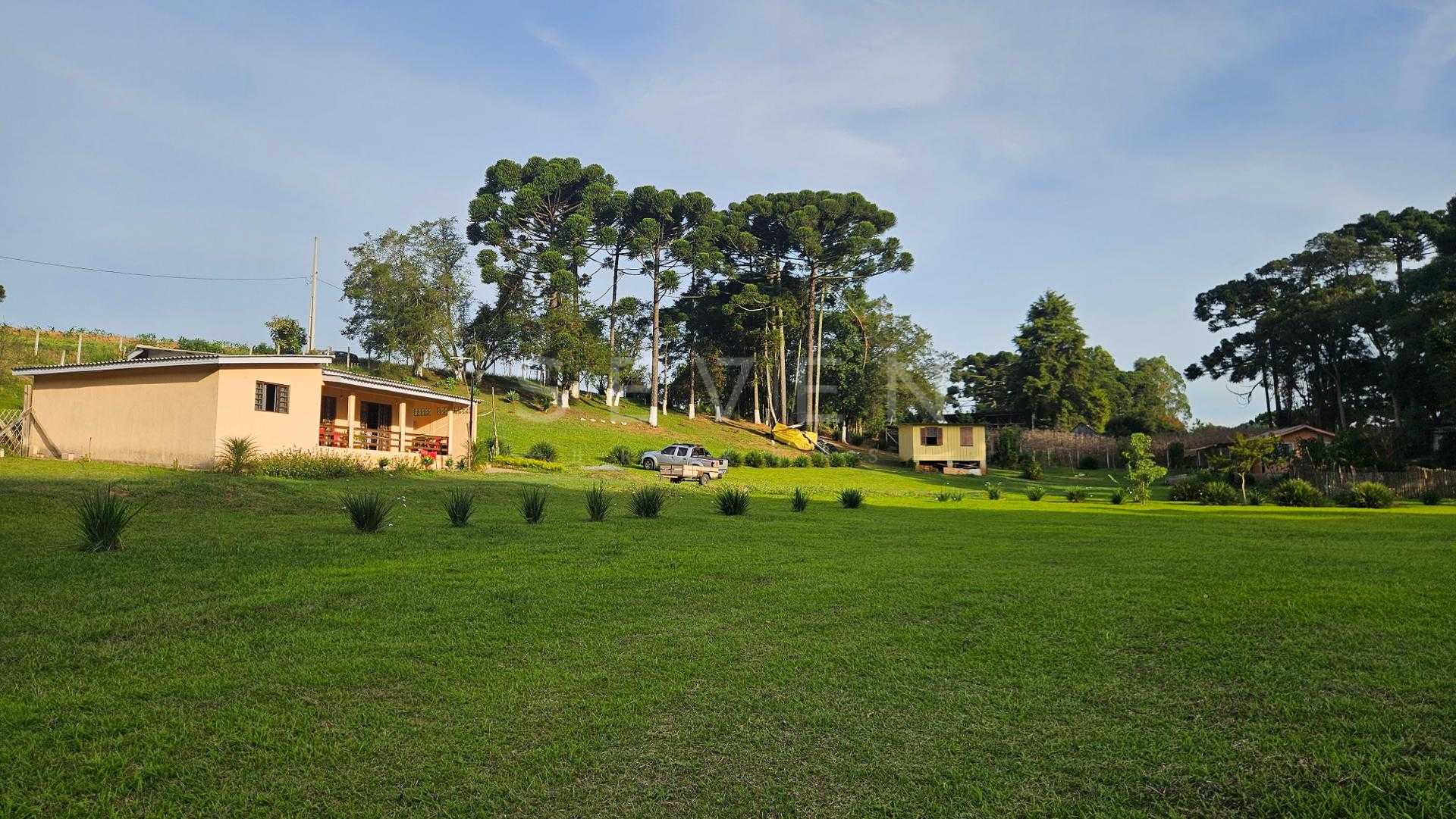 Chácara paradisíaca em Araucária  20.000m  com casa, quiosque ...