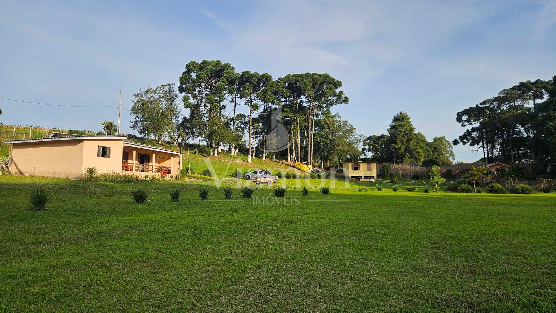 Chácara paradisíaca em Araucária  20.000m  com casa, quiosque ...