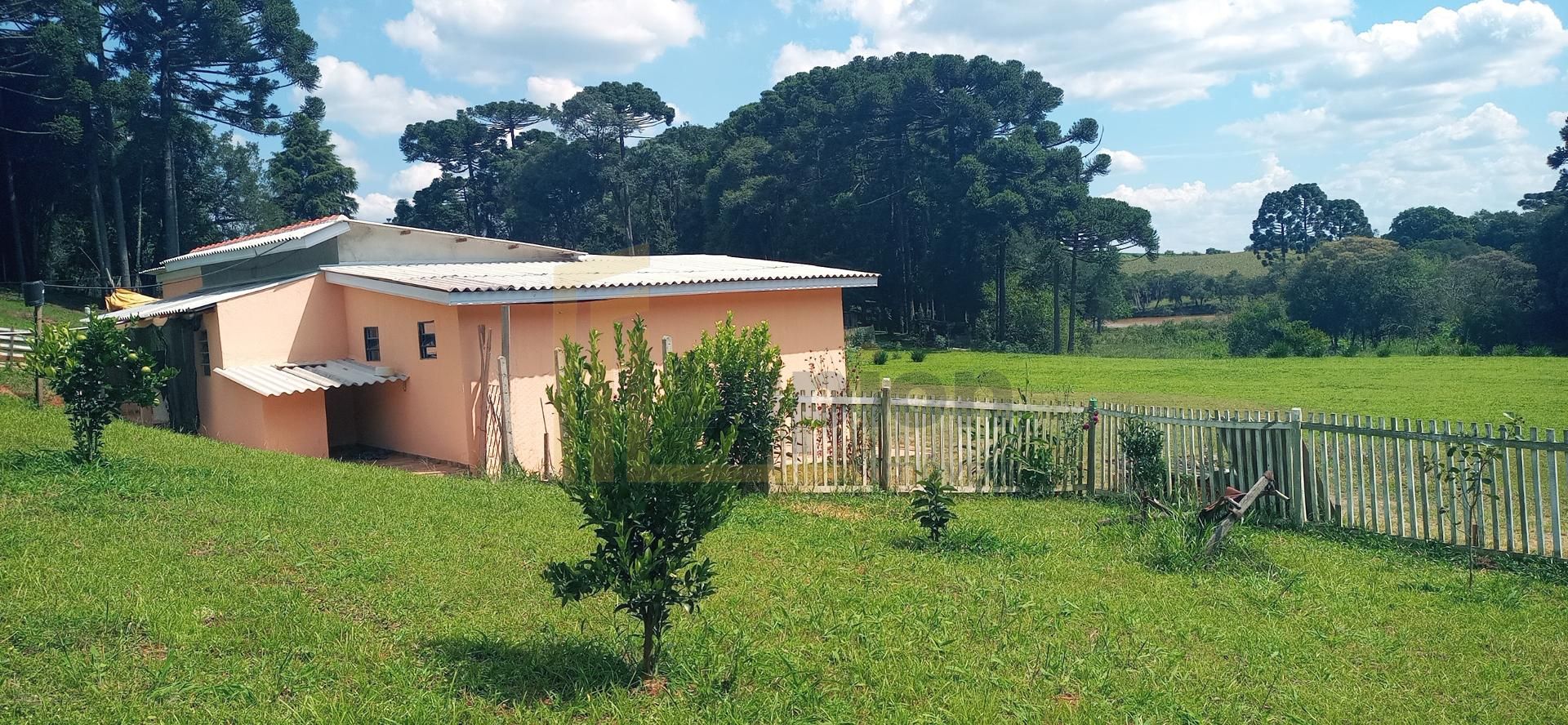 Chácara paradisíaca em Araucária  20.000m  com casa, quiosque ...