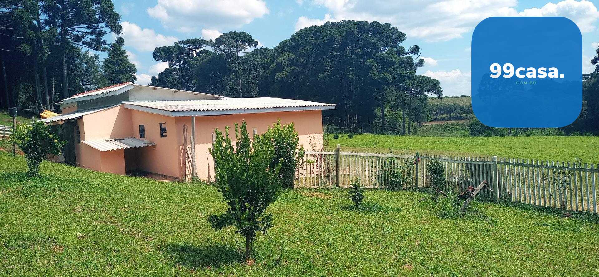 Chácara paradisíaca em Araucária  20.000m  com casa, quiosque ...