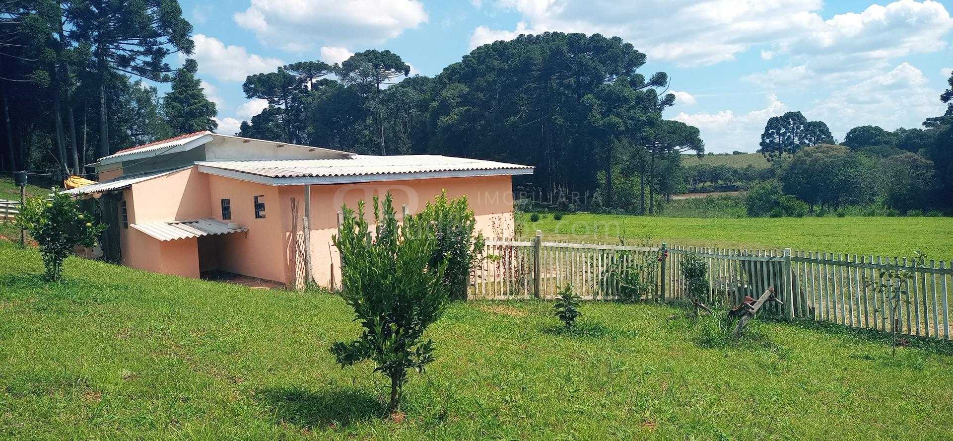 Chácara paradisíaca em Araucária  20.000m  com casa, quiosque ...