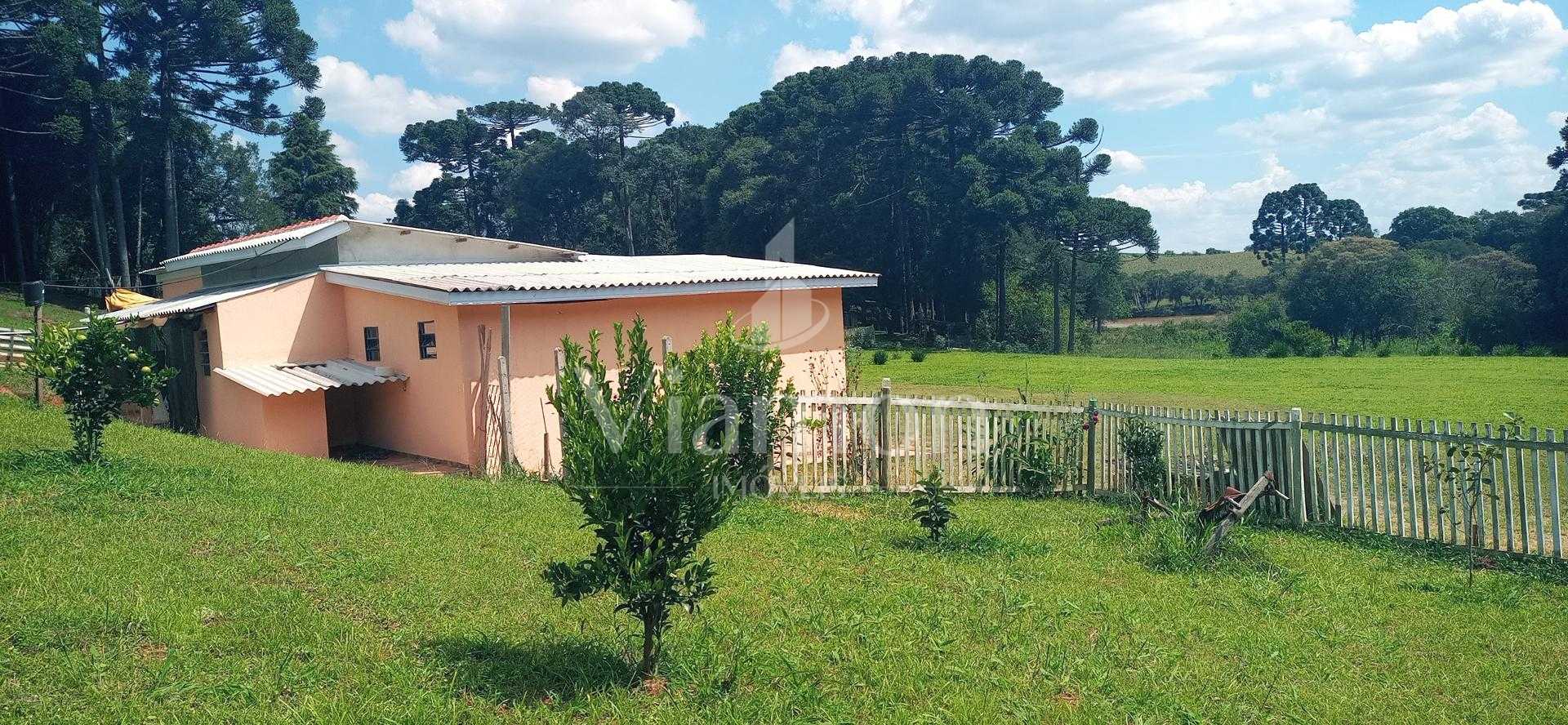 Chácara paradisíaca em Araucária  20.000m  com casa, quiosque ...