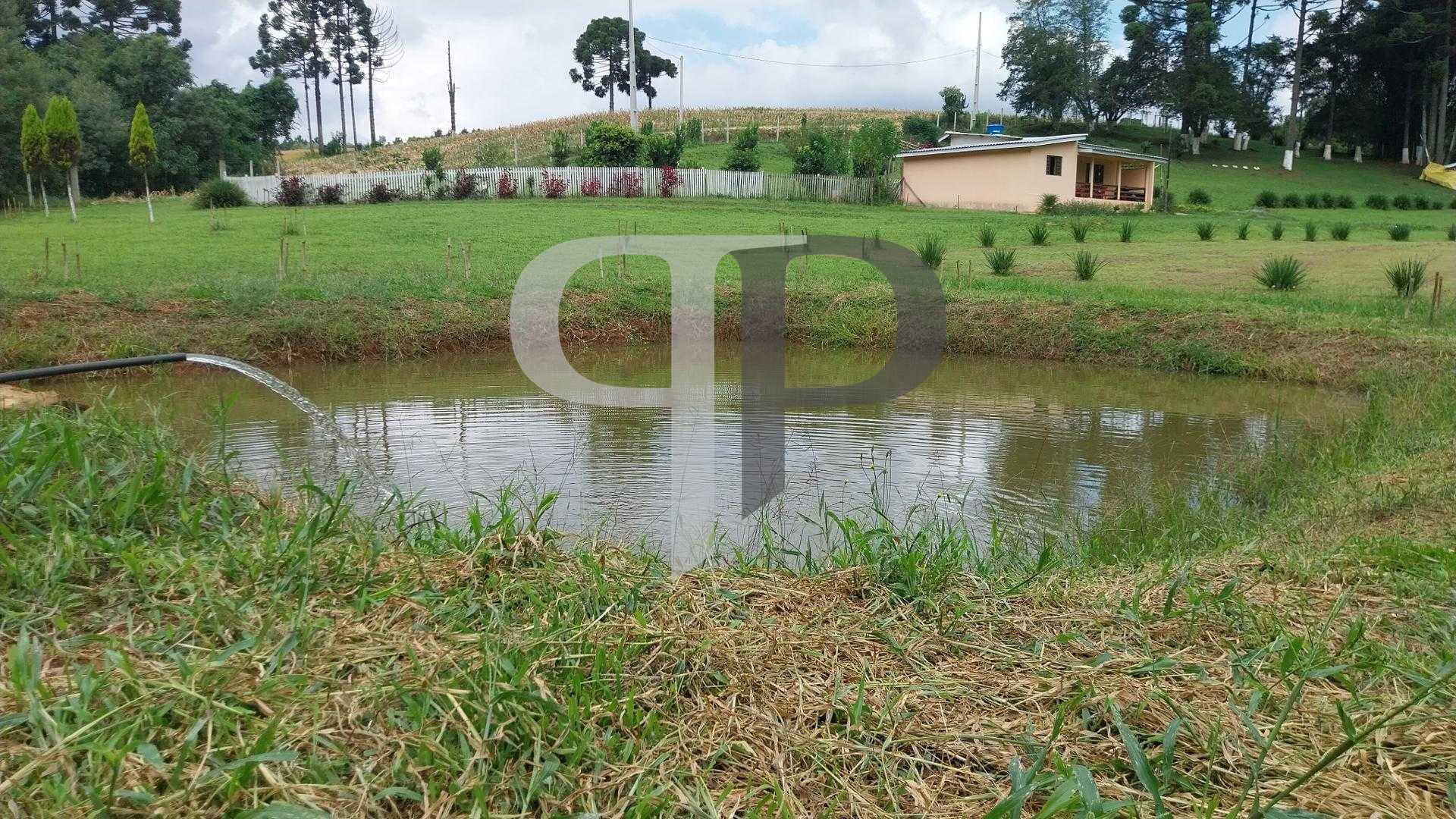Chácara paradisíaca em Araucária: 20.000m² com casa, quiosque ...