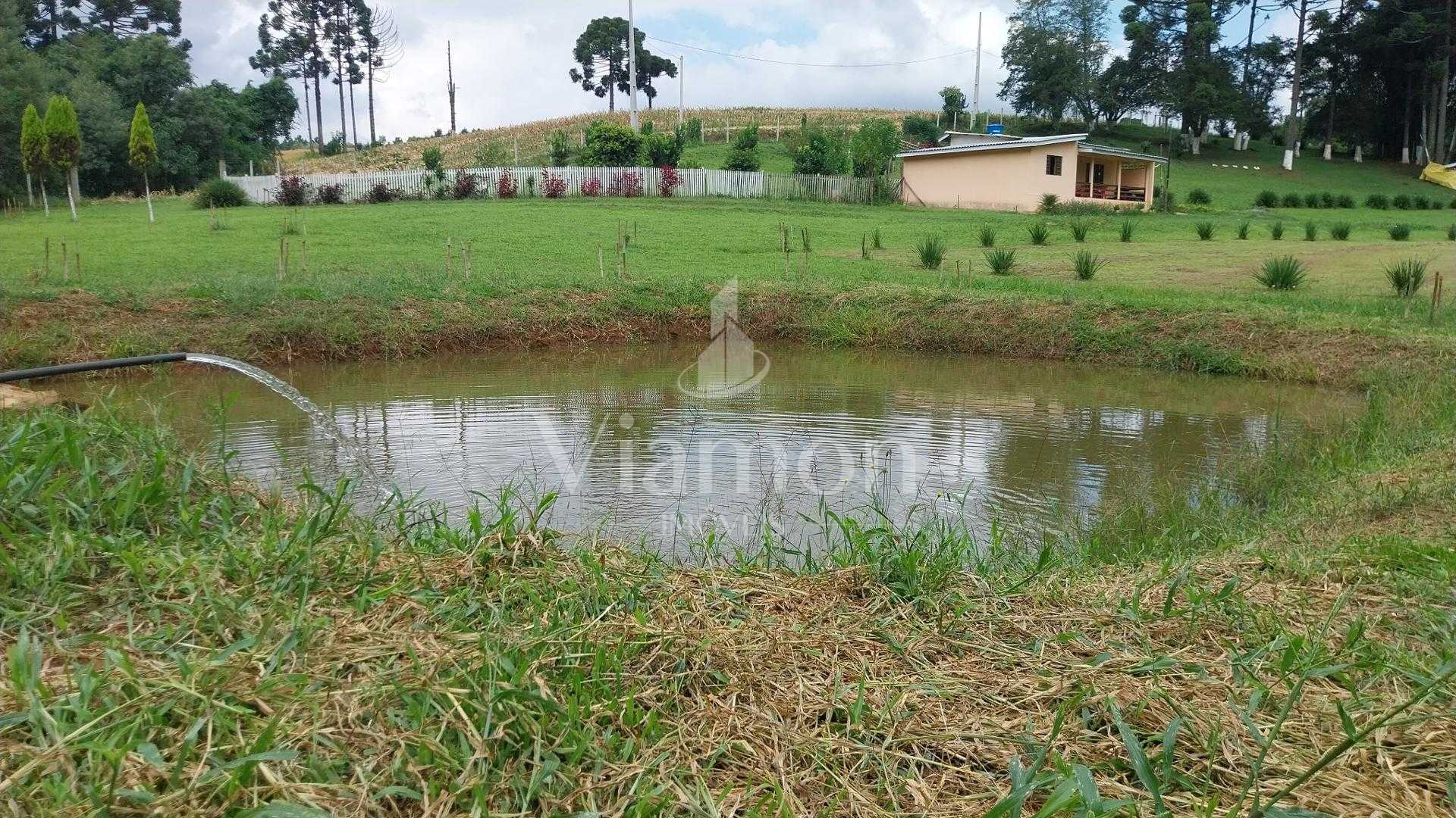 Chácara paradisíaca em Araucária: 20.000m² com casa, quiosque ...