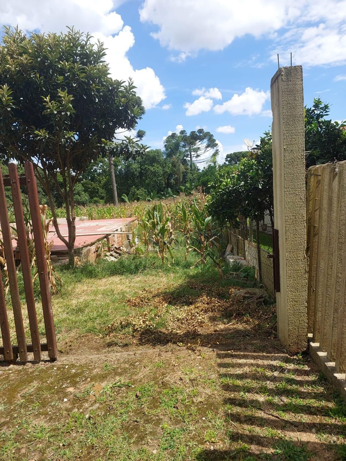 TOportunidade Única  Área de 2.700m  à Venda na Rua Marta Kleina