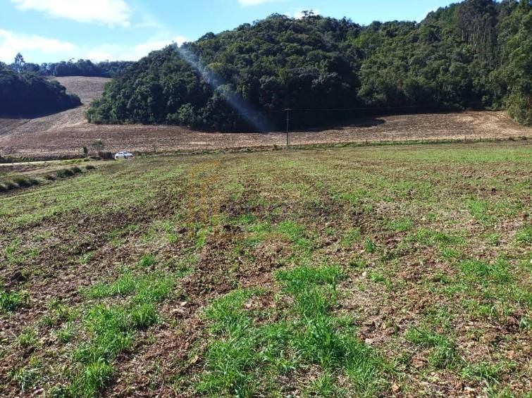 Terreno Rural em Campo Magro  24.080 m , Plano e Limpo, Aceita...
