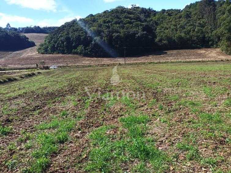 Terreno Rural em Campo Magro  24.080 m , Plano e Limpo, Aceita...