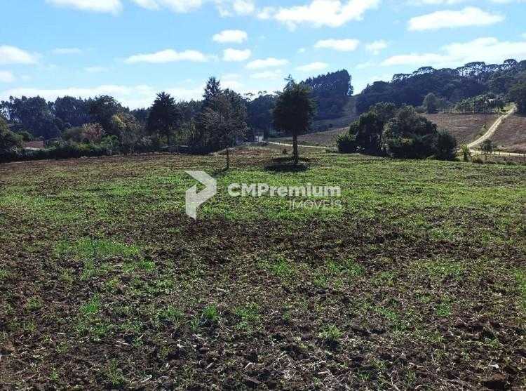 Terreno Rural em Campo Magro  24.080 m , Plano e Limpo, Aceita...