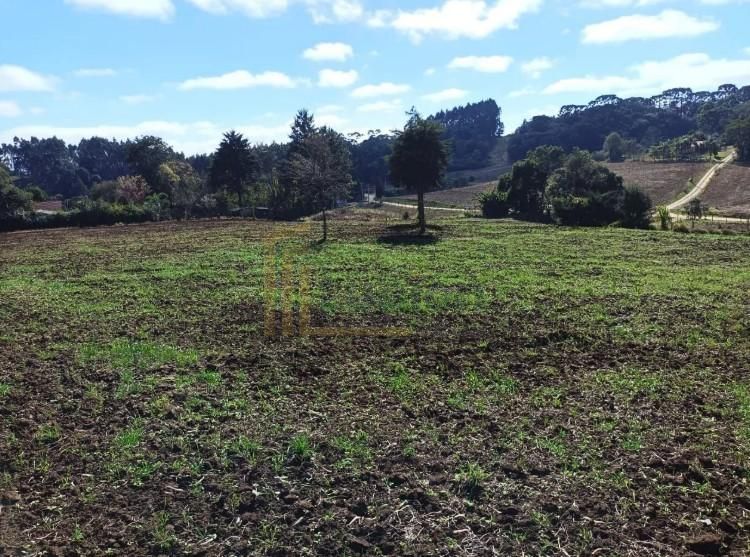 Terreno Rural em Campo Magro  24.080 m , Plano e Limpo, Aceita...
