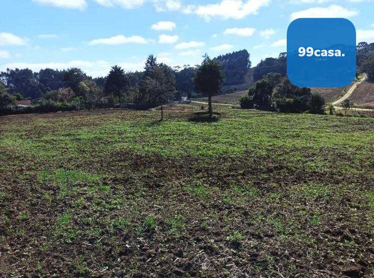 Terreno Rural em Campo Magro  24.080 m , Plano e Limpo, Aceita...