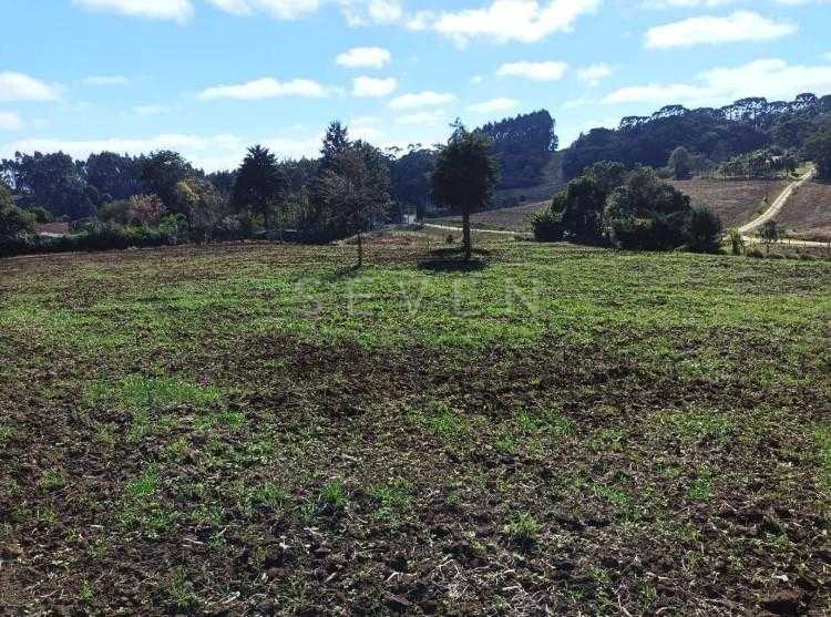 Terreno Rural em Campo Magro  24.080 m , Plano e Limpo, Aceita...
