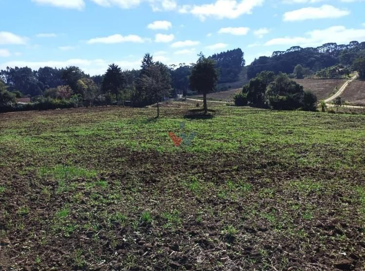 Terreno Rural em Campo Magro  24.080 m , Plano e Limpo, Aceita...