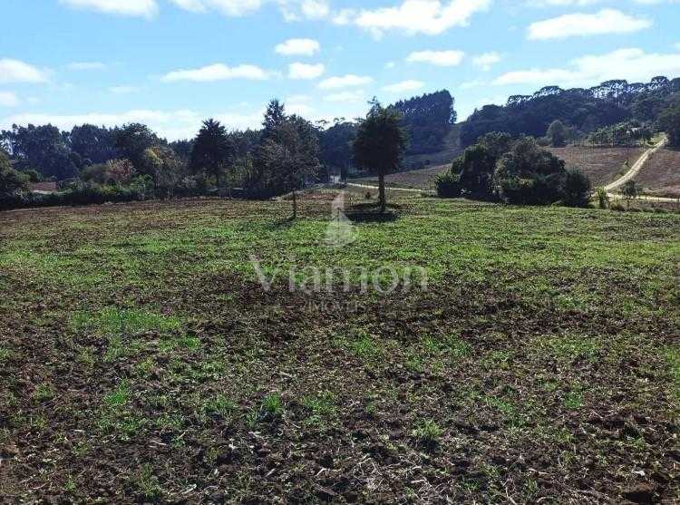 Terreno Rural em Campo Magro  24.080 m , Plano e Limpo, Aceita...