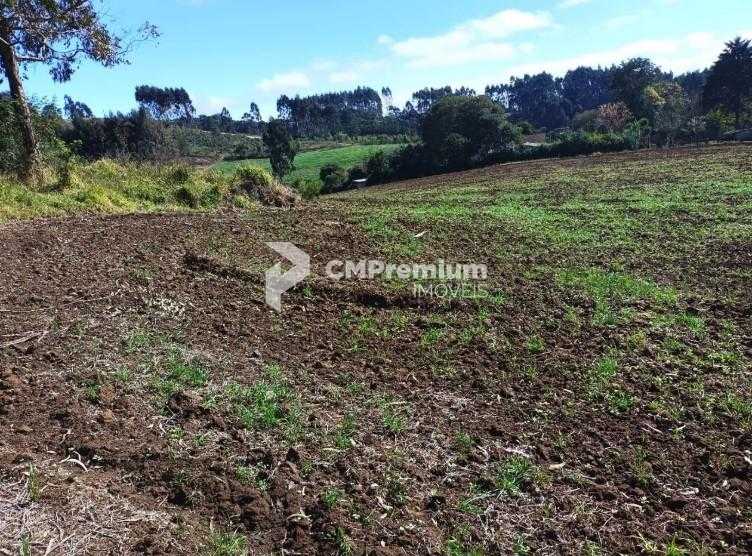 Terreno Rural em Campo Magro  24.080 m , Plano e Limpo, Aceita...