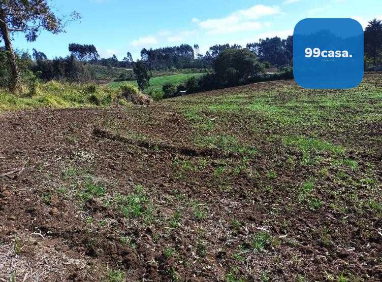Terreno Rural em Campo Magro  24.080 m , Plano e Limpo, Aceita...