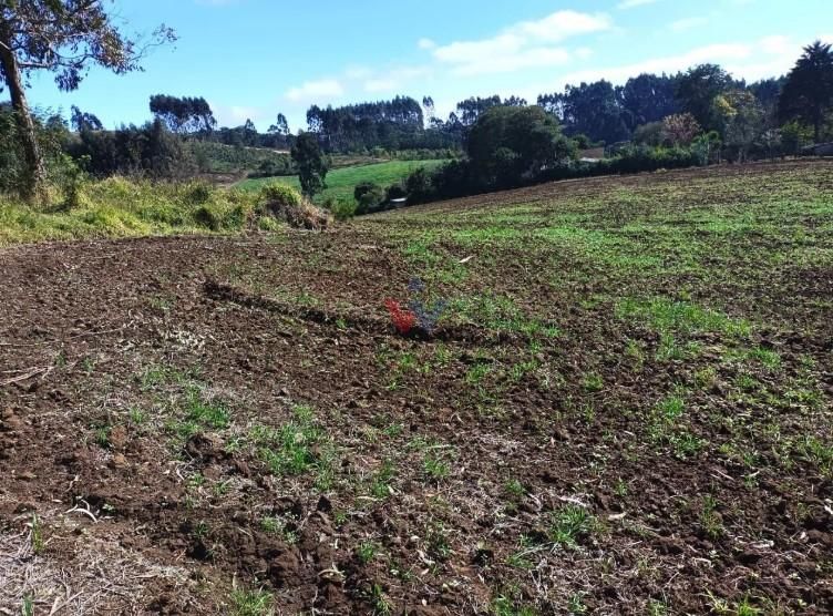 Terreno Rural em Campo Magro  24.080 m , Plano e Limpo, Aceita...