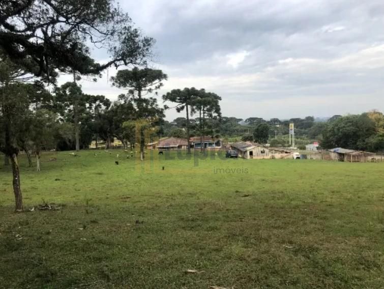 Área de 24.800m  à Venda na BR-116 em Curitiba. 12.500.000,00