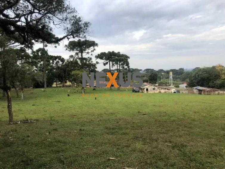 Área de 24.800m  à Venda na BR-116 em Curitiba. 12.500.000,00
