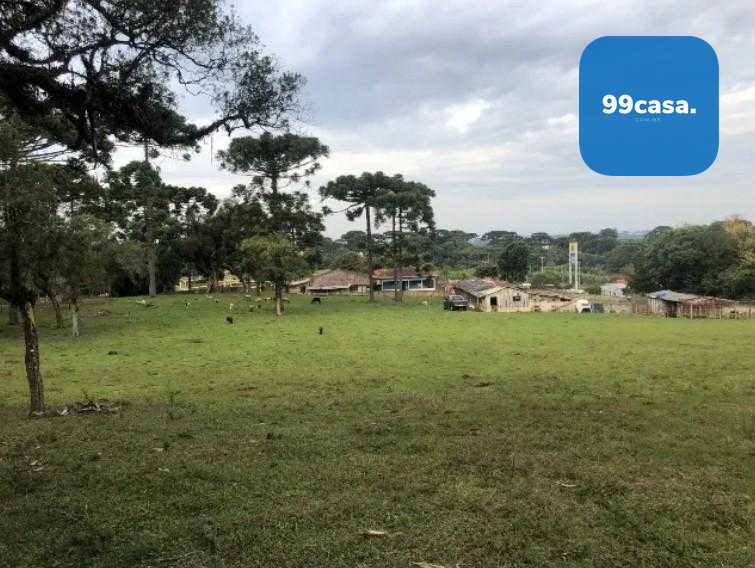 Área de 24.800m  à Venda na BR-116 em Curitiba. 12.500.000,00