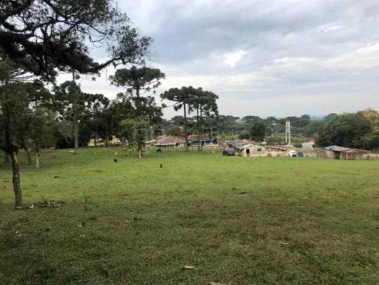 Área de 24.800m  à Venda na BR-116 em Curitiba. 12.500.000,00