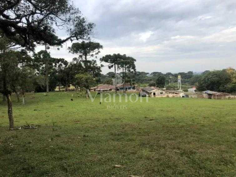 Área de 24.800m  à Venda na BR-116 em Curitiba. 12.500.000,00