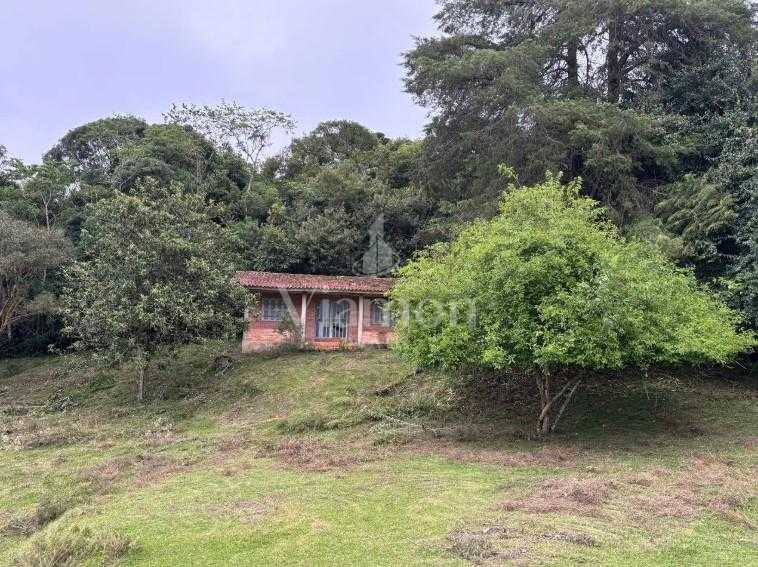 Linda Chácara em Condomínio Fechado em Campina Grande do Sul  ...