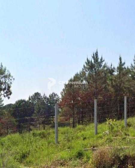 Terreno à venda,159.28 m , colônia faria, COLOMBO - PR