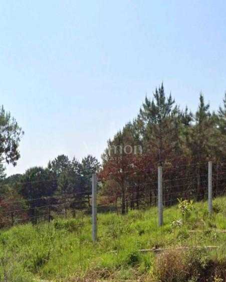 Terreno à venda,159.28 m , colônia faria, COLOMBO - PR