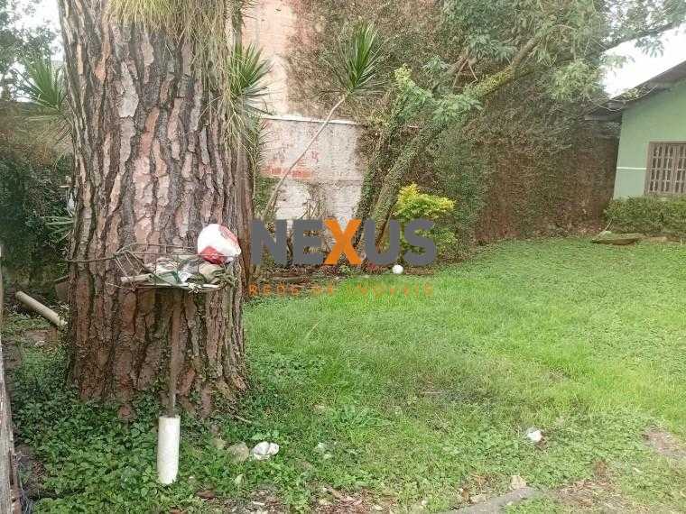 Terreno plano de 370m  com casa de alvenaria no Cajuru, ótimo ...