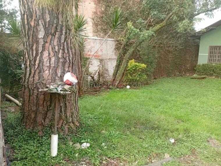 Terreno plano de 370m  com casa de alvenaria no Cajuru, ótimo ...