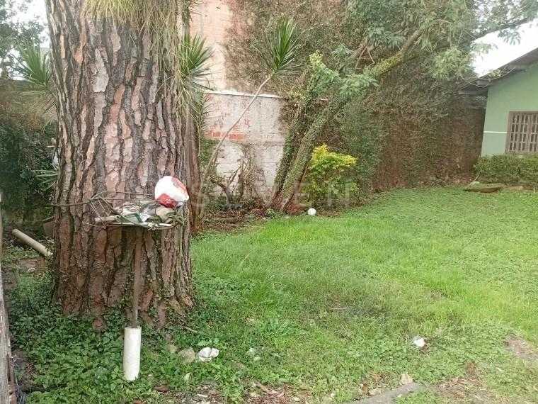 Terreno plano de 370m  com casa de alvenaria no Cajuru, ótimo ...