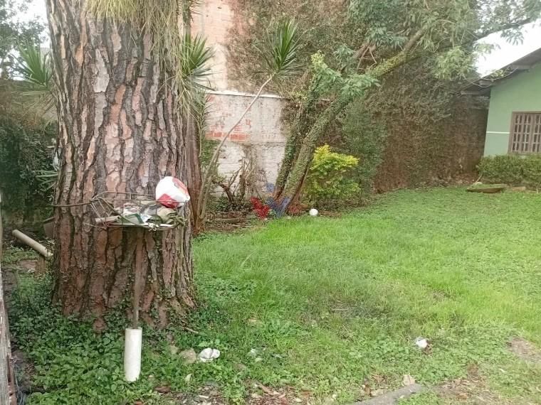 Terreno plano de 370m  com casa de alvenaria no Cajuru, ótimo ...