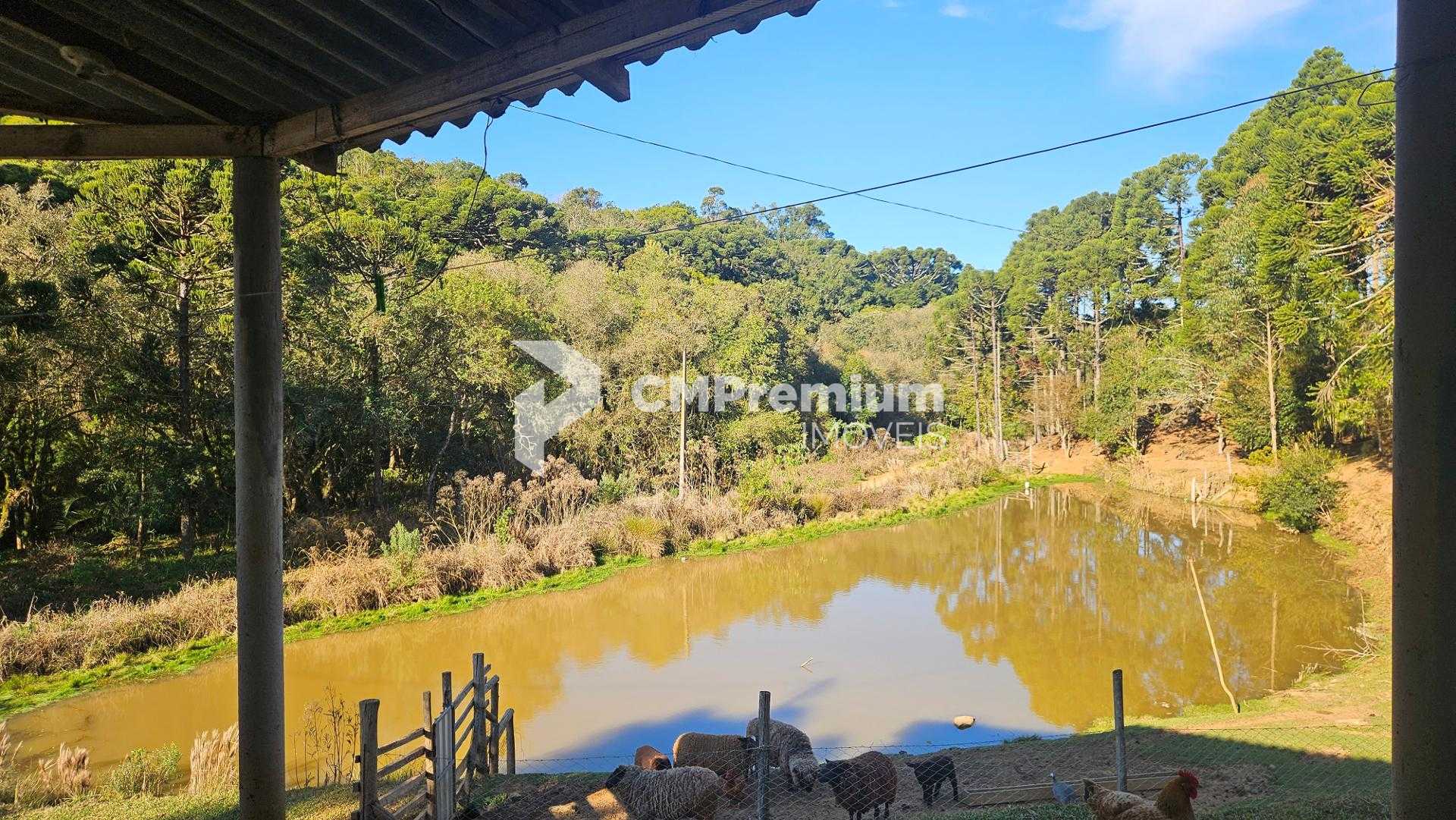 Chácara 48.400m  com tanques, riacho e 2 casas  aceita imóvel ...