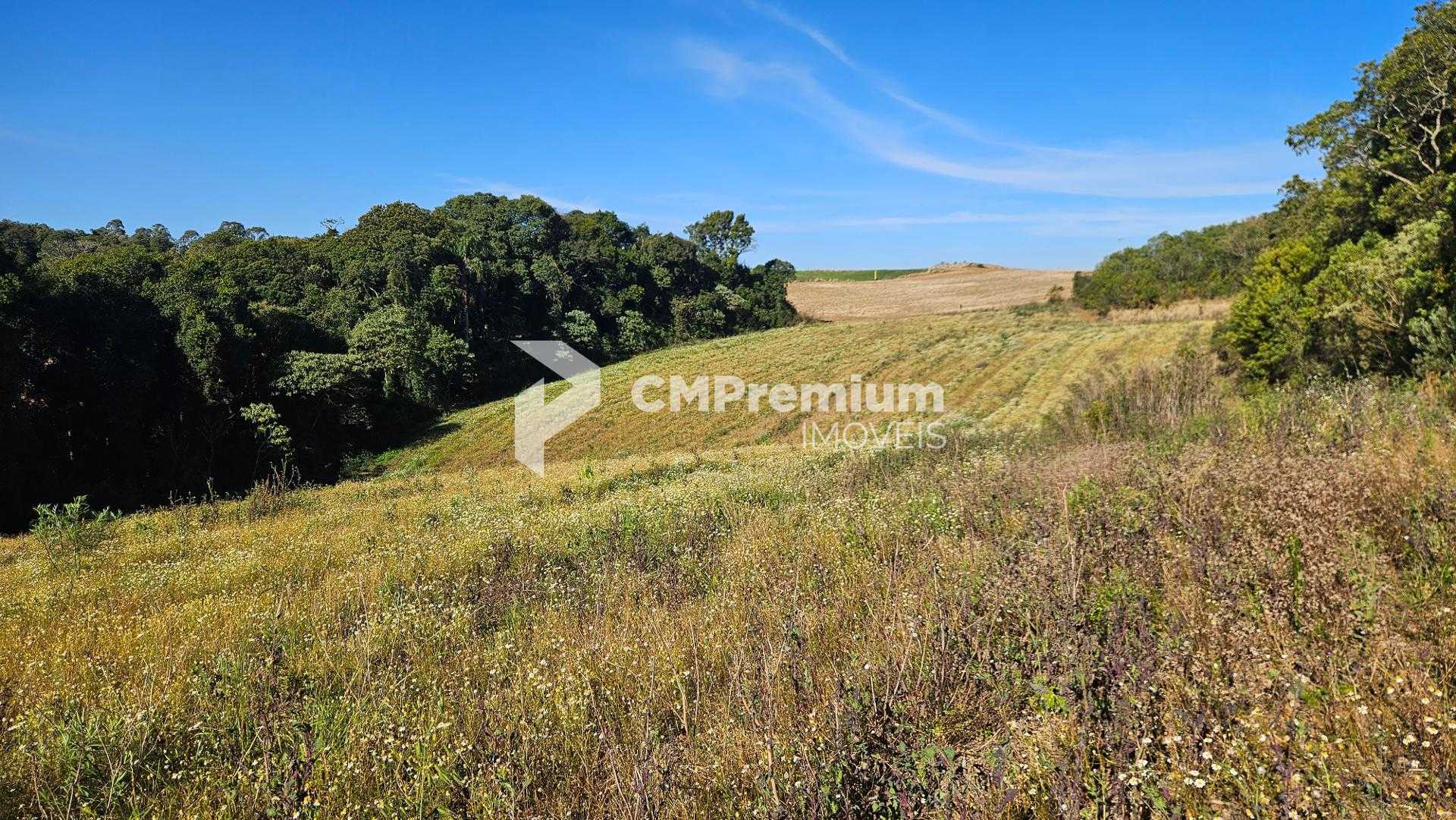 Chácara 7 Alqueires em Campo Magro  Ideal para Plantio e Lazer