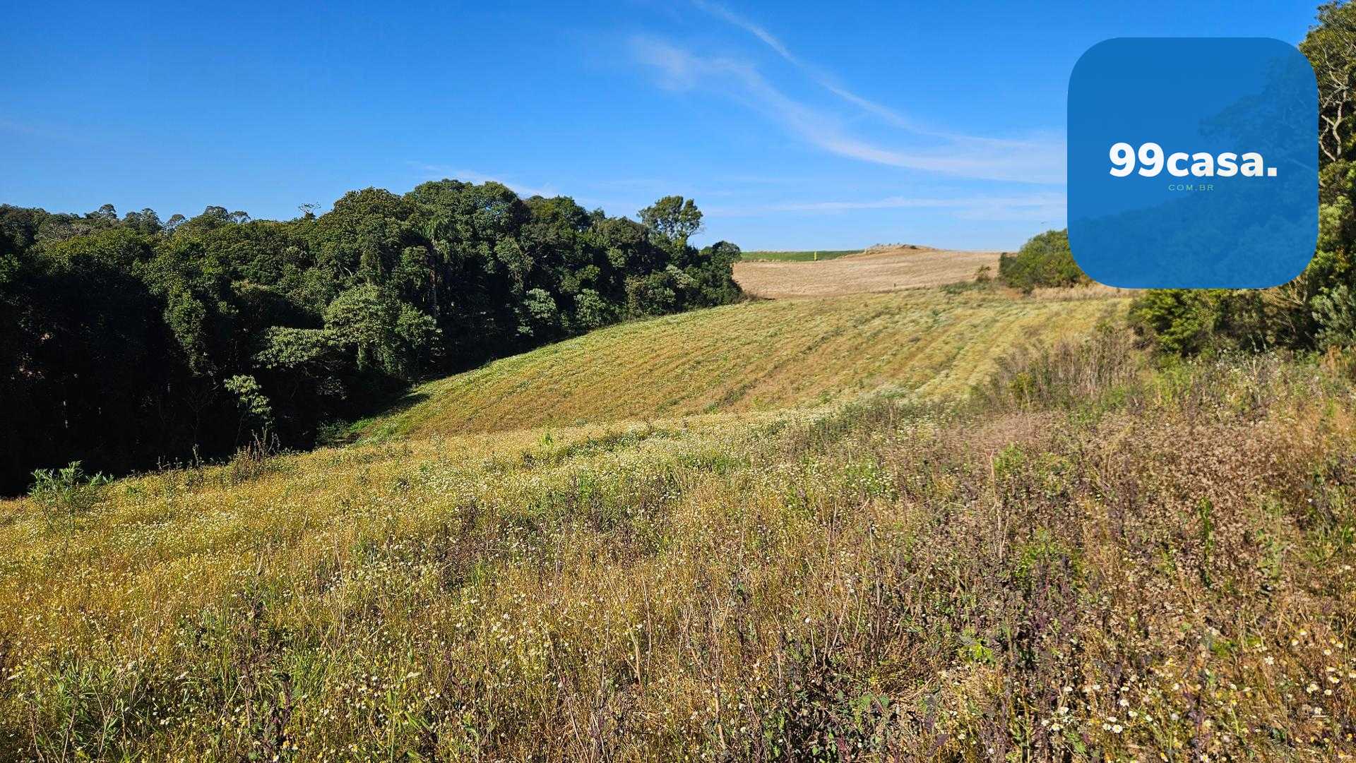 Chácara 7 Alqueires em Campo Magro  Ideal para Plantio e Lazer
