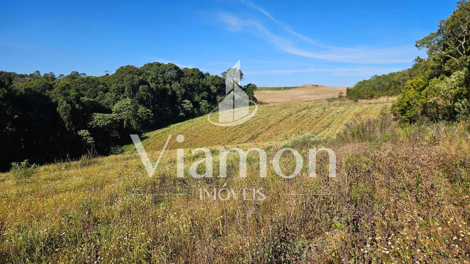 Chácara 7 Alqueires em Campo Magro  Ideal para Plantio e Lazer