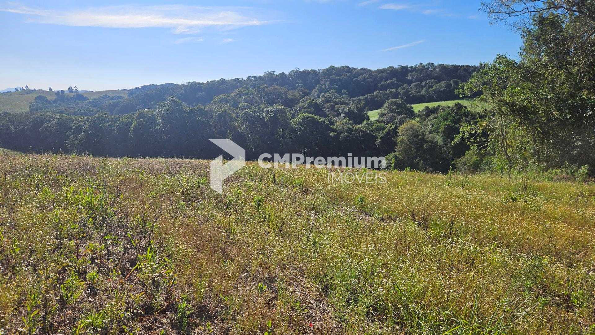 Chácara 7 Alqueires em Campo Magro  Ideal para Plantio e Lazer