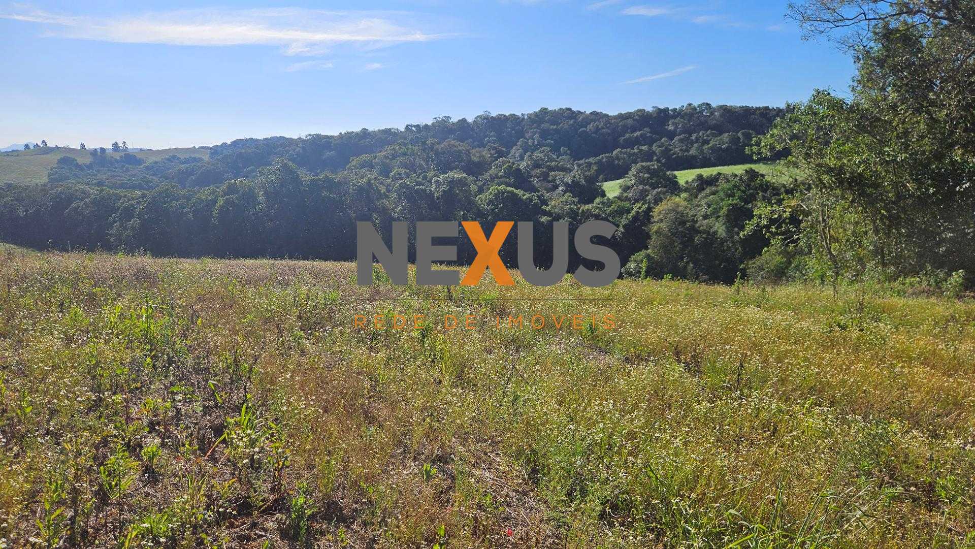 Chácara 7 Alqueires em Campo Magro  Ideal para Plantio e Lazer