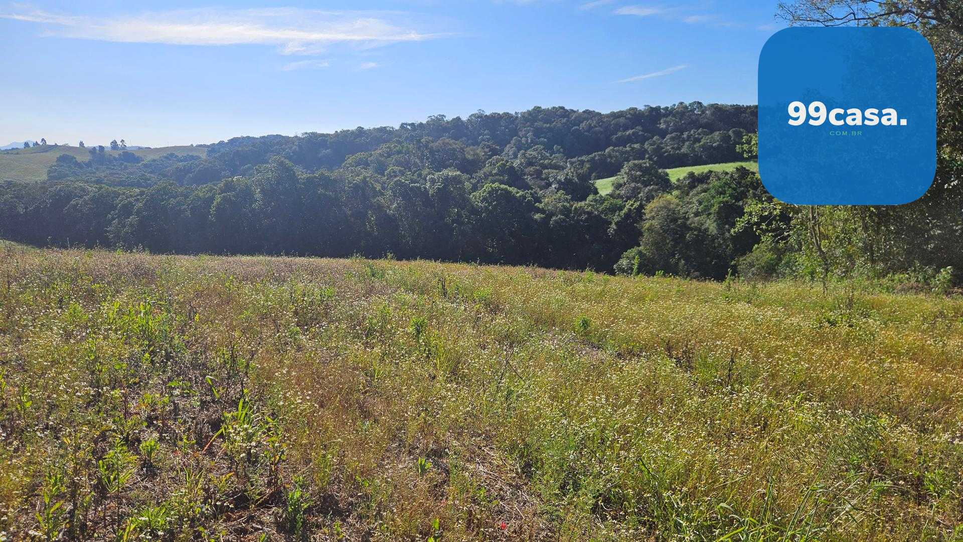 Chácara 7 Alqueires em Campo Magro  Ideal para Plantio e Lazer
