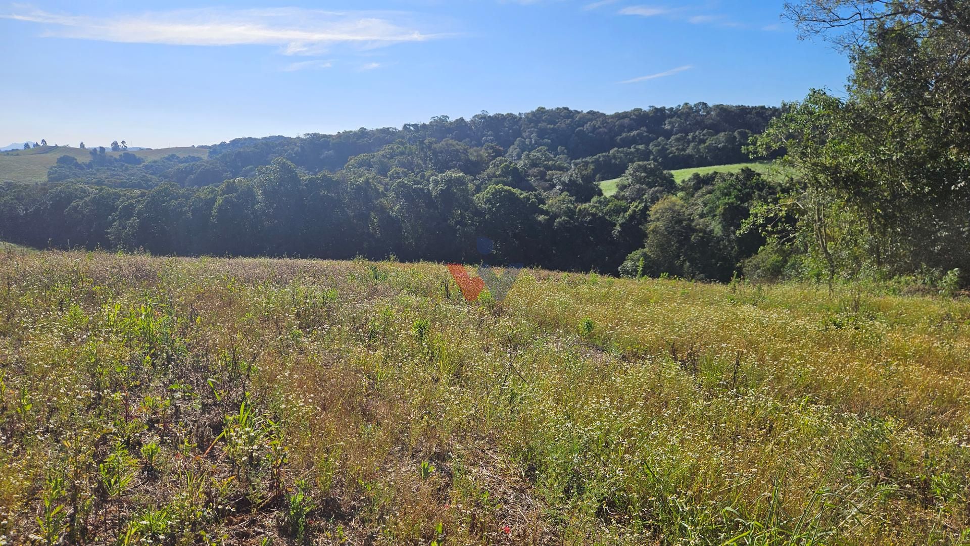 Chácara 7 Alqueires em Campo Magro  Ideal para Plantio e Lazer