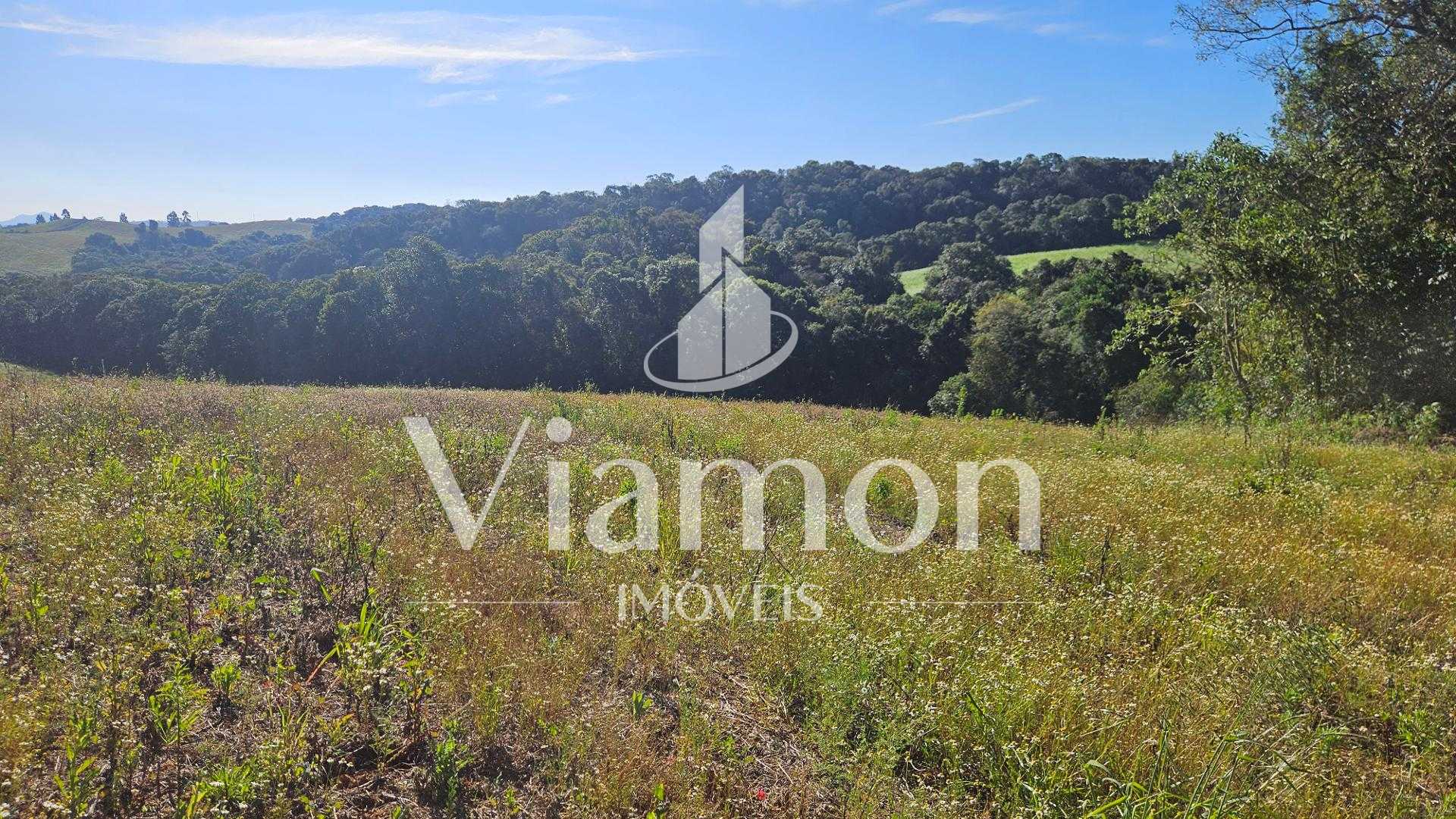 Chácara 7 Alqueires em Campo Magro  Ideal para Plantio e Lazer