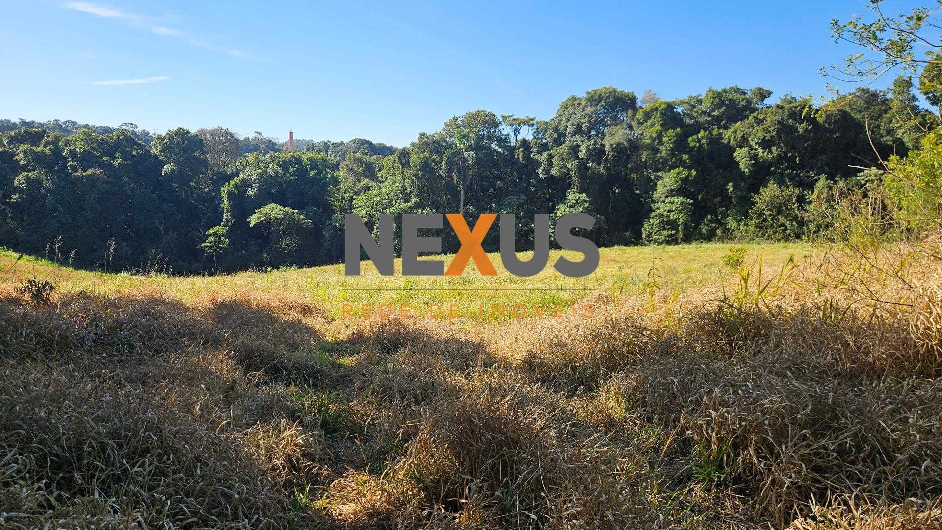 Chácara 7 Alqueires em Campo Magro  Ideal para Plantio e Lazer