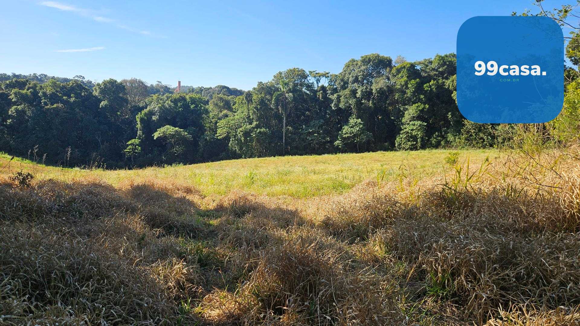 Chácara 7 Alqueires em Campo Magro  Ideal para Plantio e Lazer