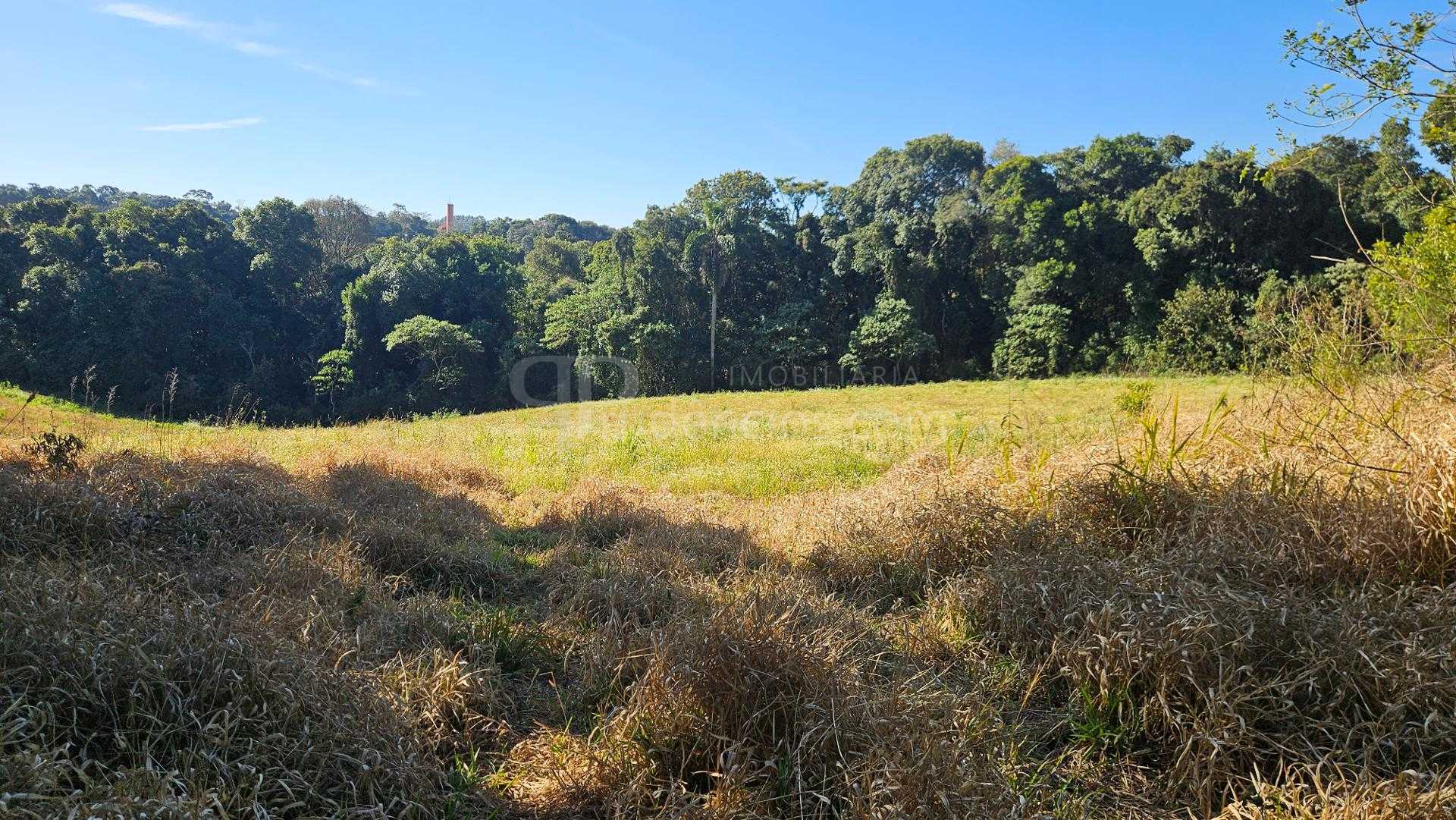 Chácara 7 Alqueires em Campo Magro  Ideal para Plantio e Lazer