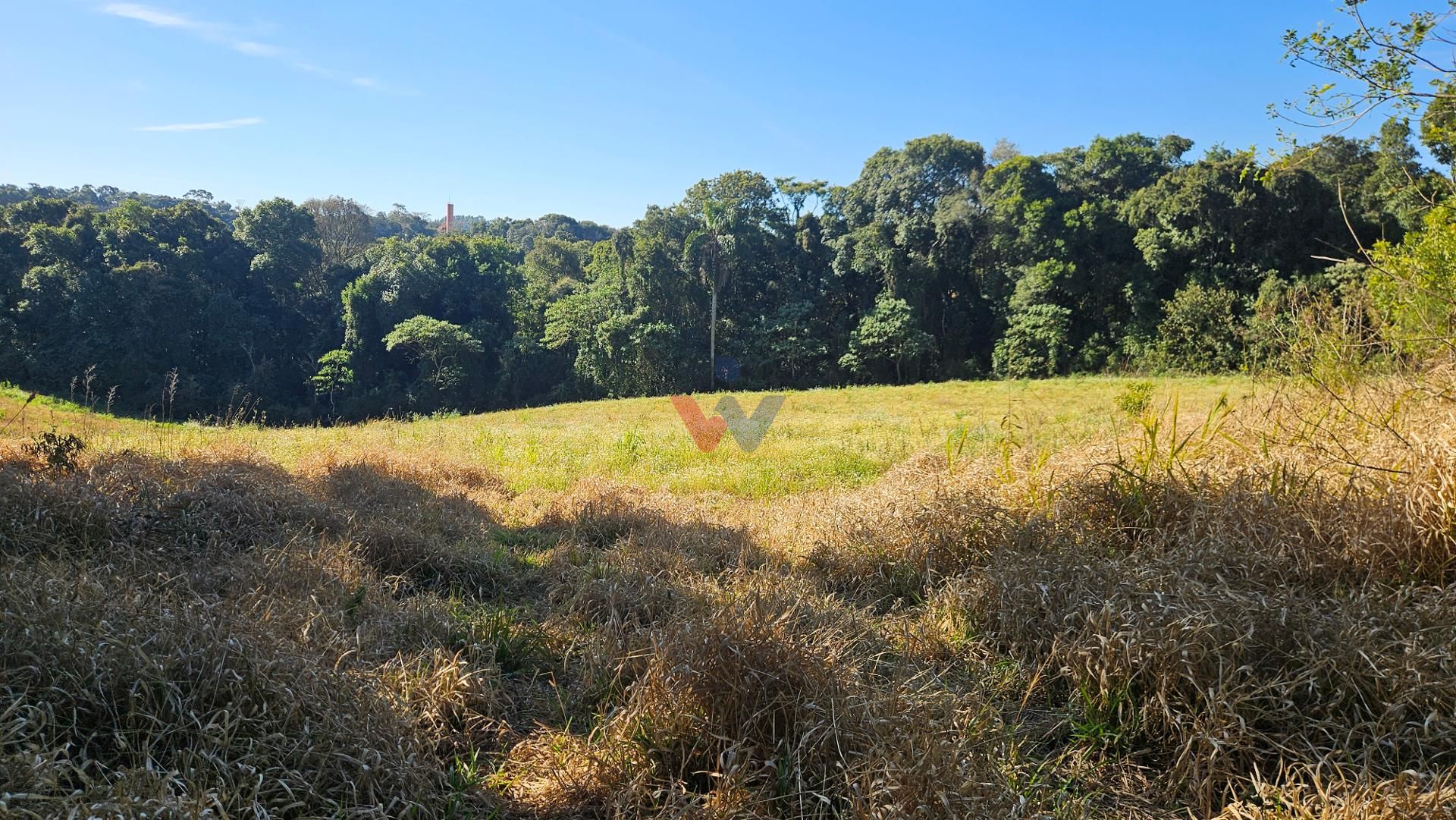 Chácara 7 Alqueires em Campo Magro  Ideal para Plantio e Lazer